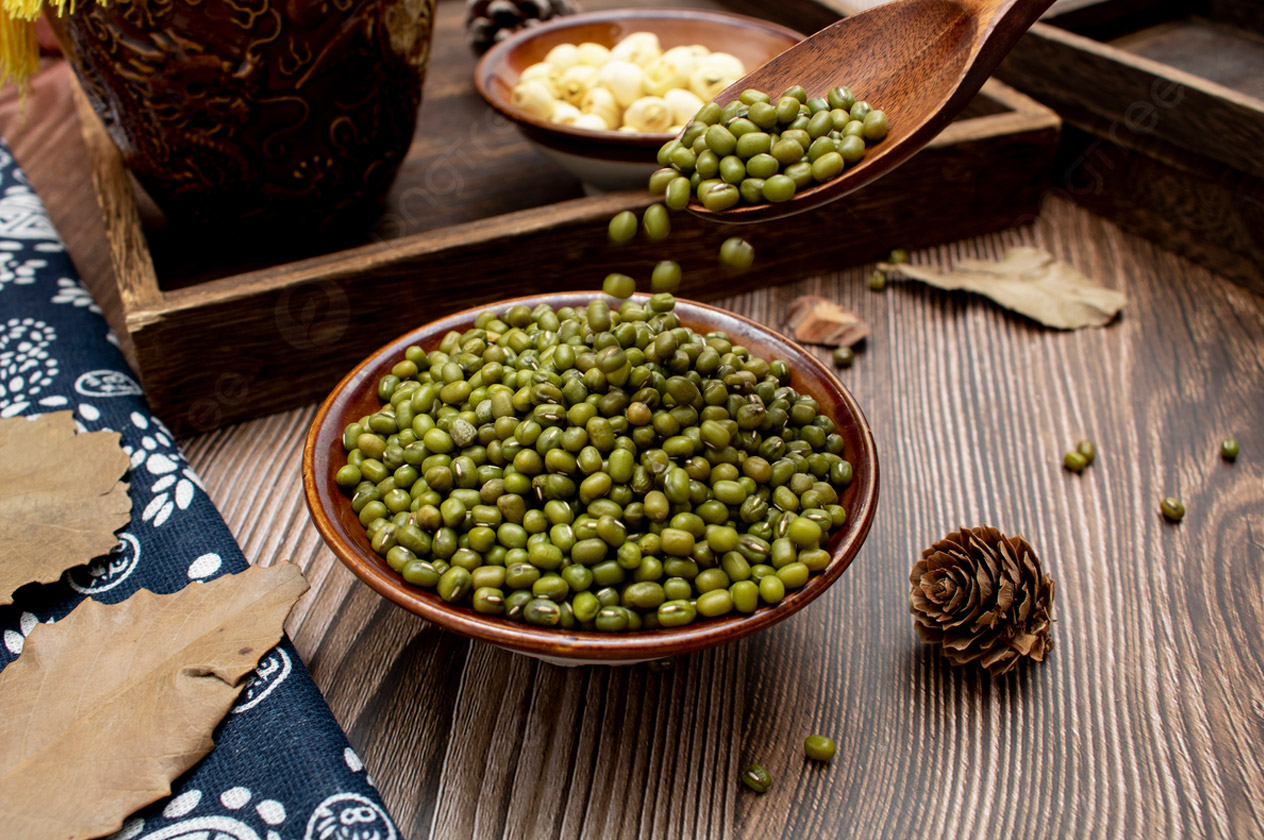 Feijão Mungo (Moyashi): como preparar e uma receita nutritiva com toque caseiro